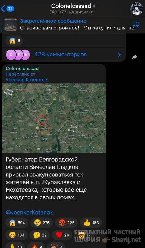 Анатолий Шарий Telegram канал — фото из публикации