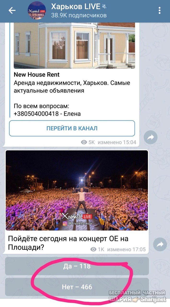Анатолий Шарий Telegram канал — фото из публикации