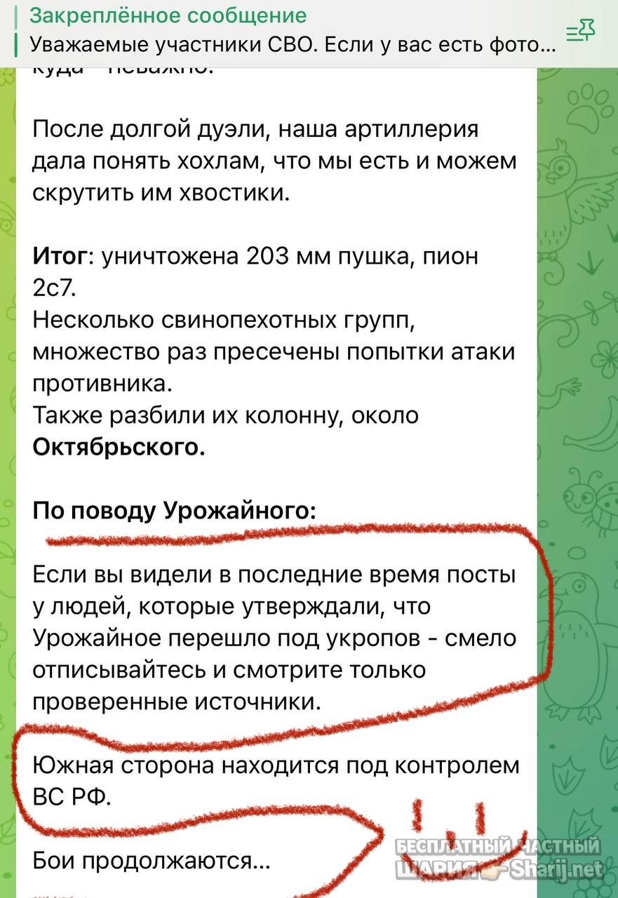 Анатолий Шарий Telegram канал — фото из публикации