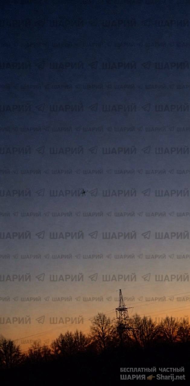 Анатолий Шарий Telegram канал — фото из публикации