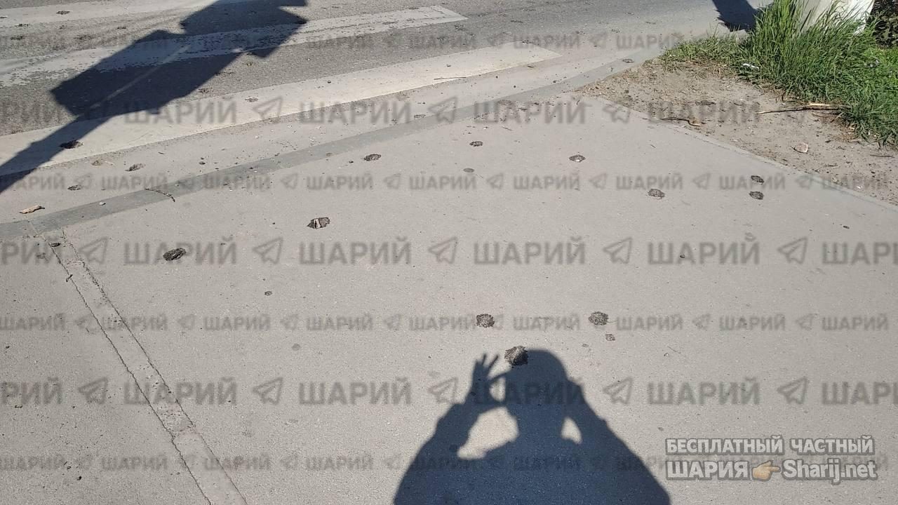 Анатолий Шарий Telegram канал — фото из публикации