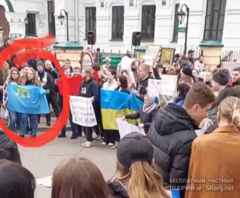 Анатолий Шарий Telegram канал — фото из публикации