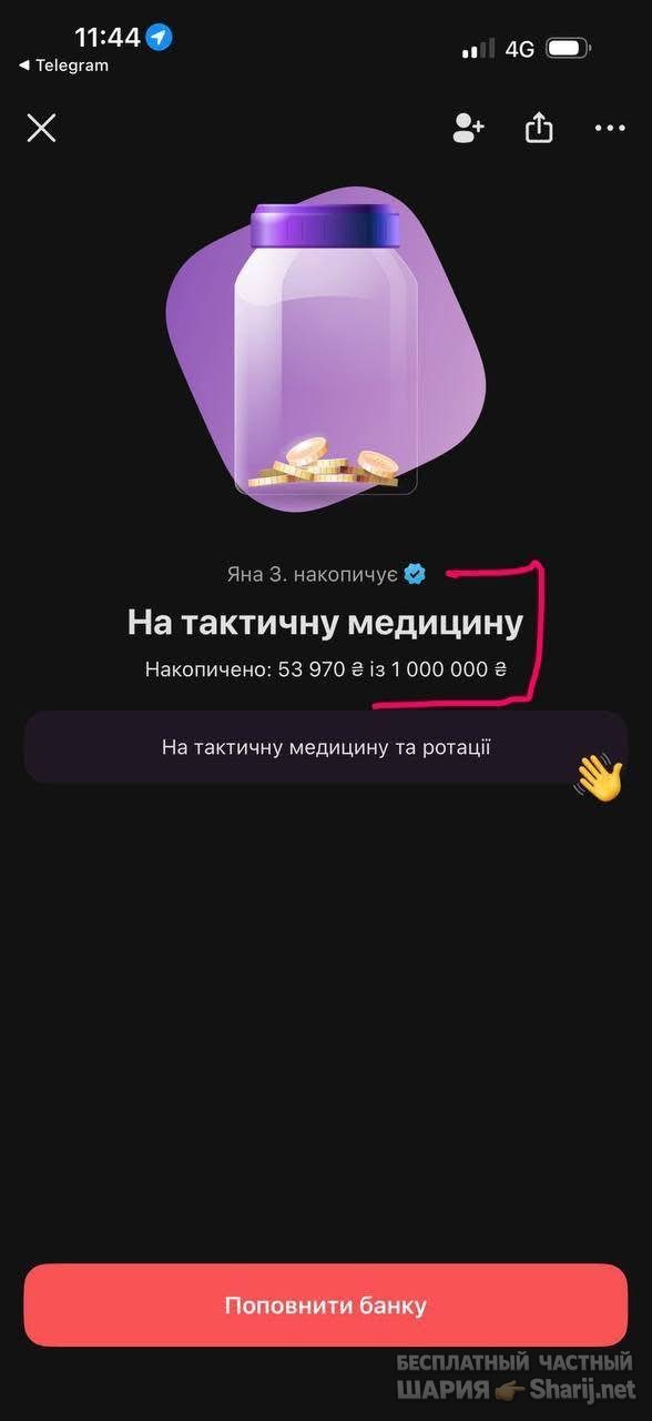 Анатолий Шарий Telegram канал — фото из публикации