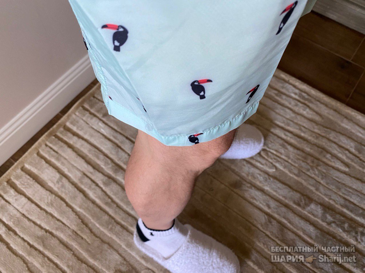 Анатолий Шарий Telegram канал — фото из публикации
