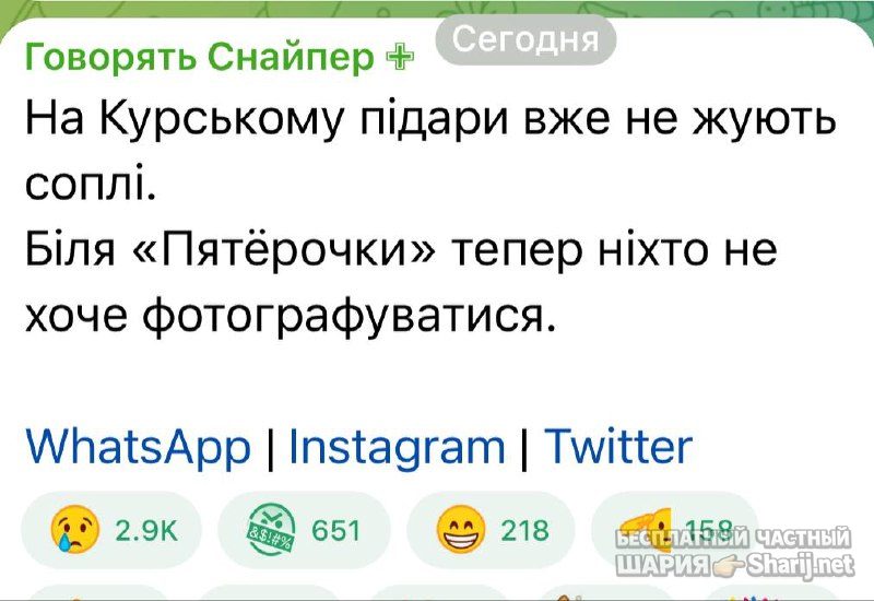 Анатолий Шарий Telegram канал — фото из публикации
