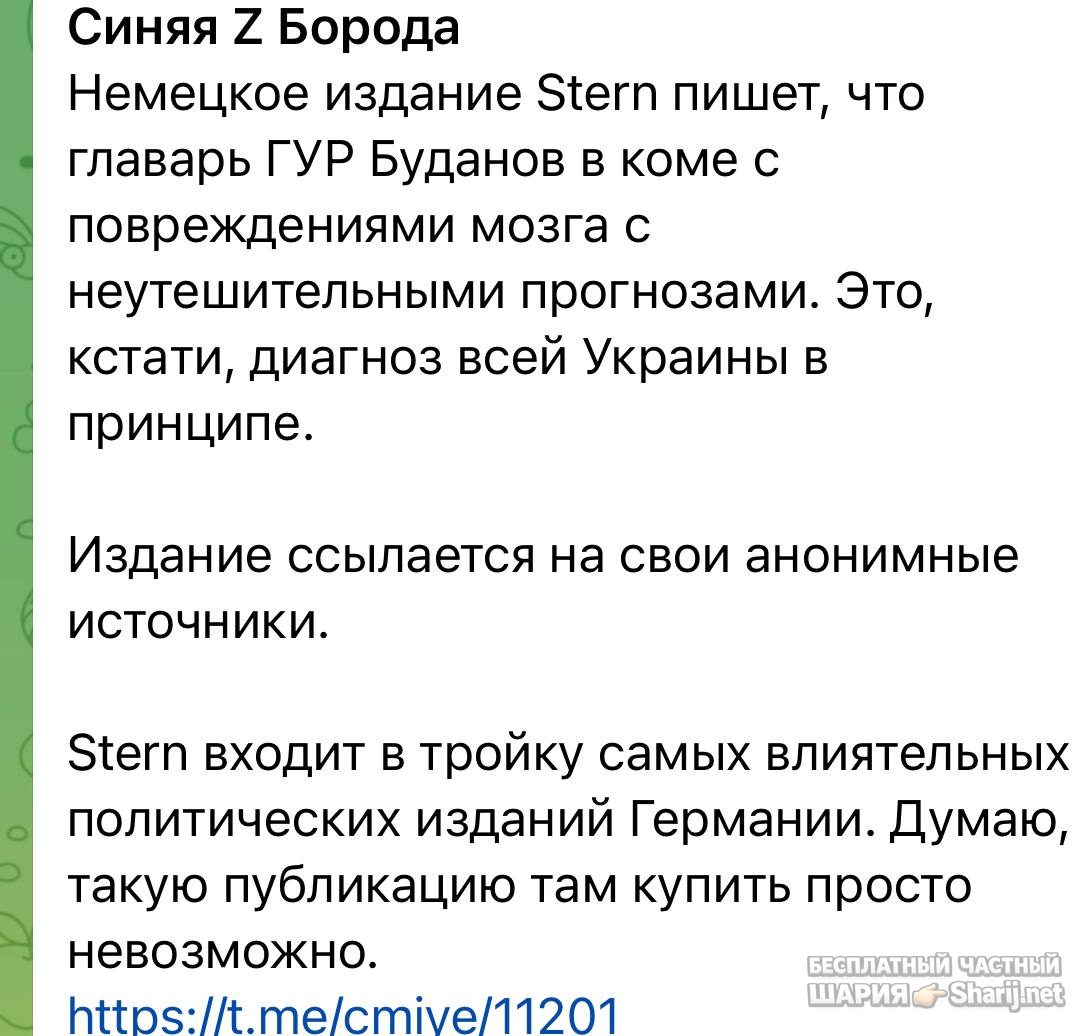 Анатолий Шарий Telegram канал — фото из публикации