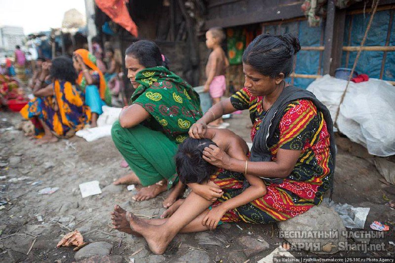 Анатолий Шарий Telegram канал — фото из публикации