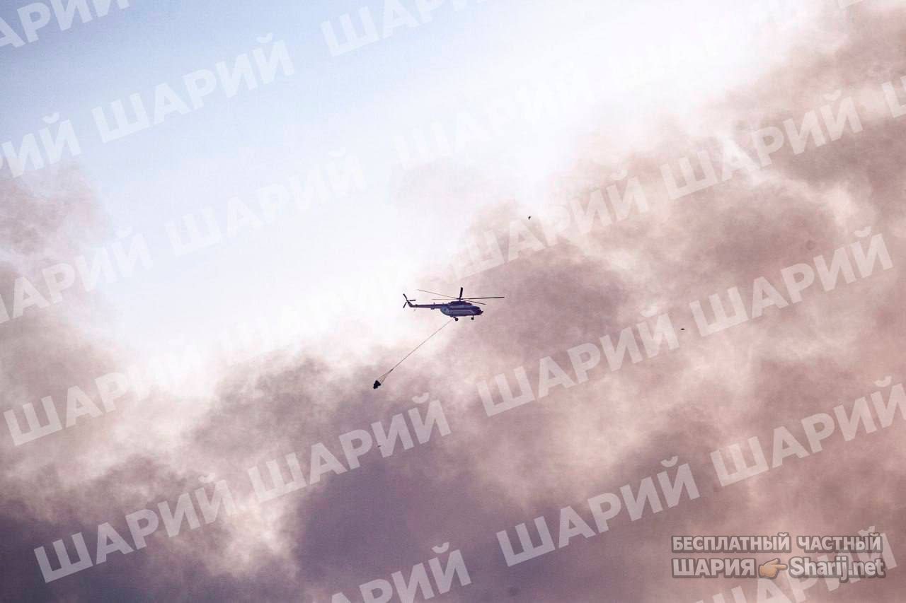 Анатолий Шарий Telegram канал — фото из публикации