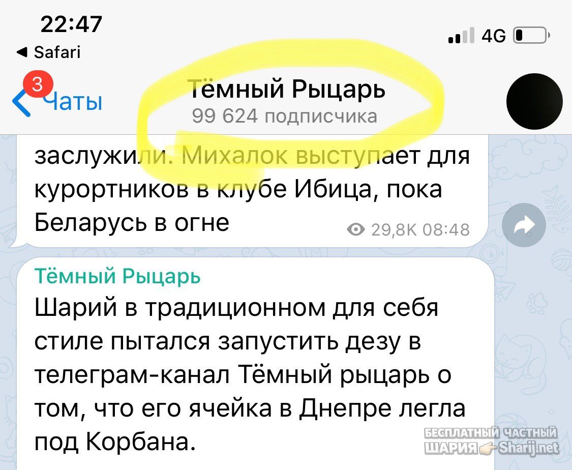 Анатолий Шарий Telegram канал — фото из публикации