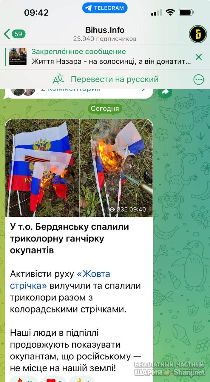 Анатолий Шарий Telegram канал — фото из публикации