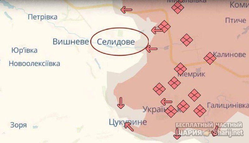 Анатолий Шарий Telegram канал — фото из публикации