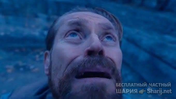 Анатолий Шарий Telegram канал — фото из публикации