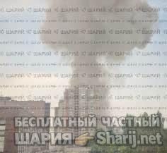 Анатолий Шарий Telegram канал — фото из публикации