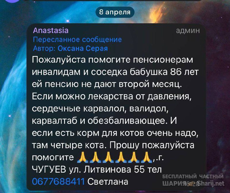 Анатолий Шарий Telegram канал — фото из публикации