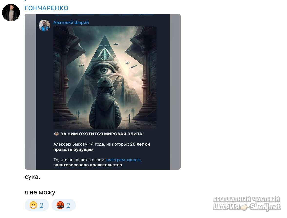 Анатолий Шарий Telegram канал — фото из публикации