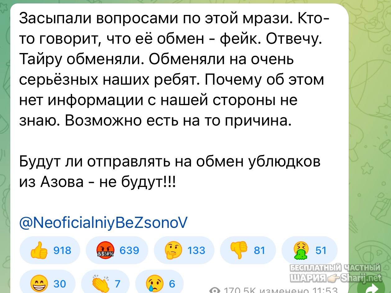 Анатолий Шарий Telegram канал — фото из публикации