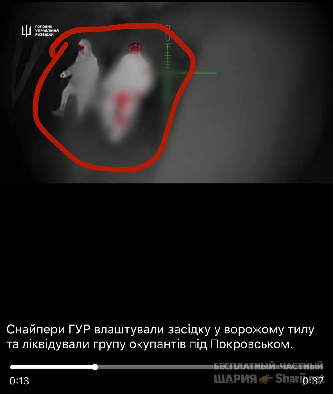 Анатолий Шарий Telegram канал — фото из публикации