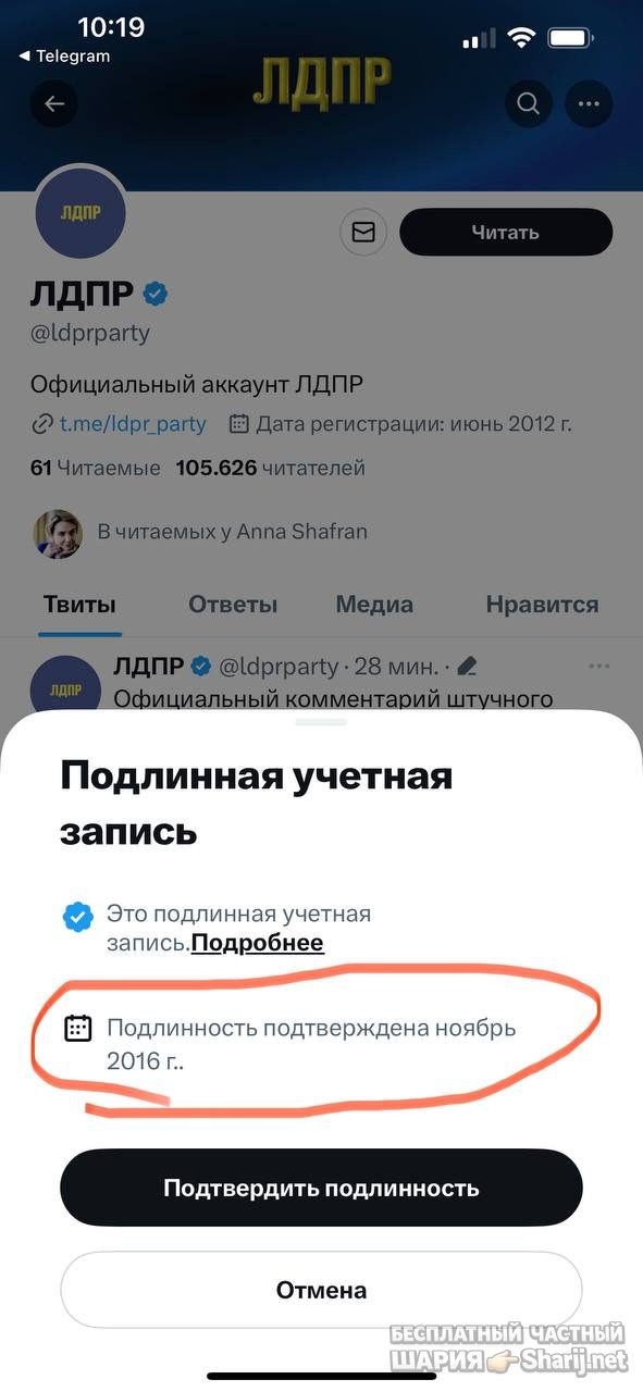 Анатолий Шарий Telegram канал — фото из публикации