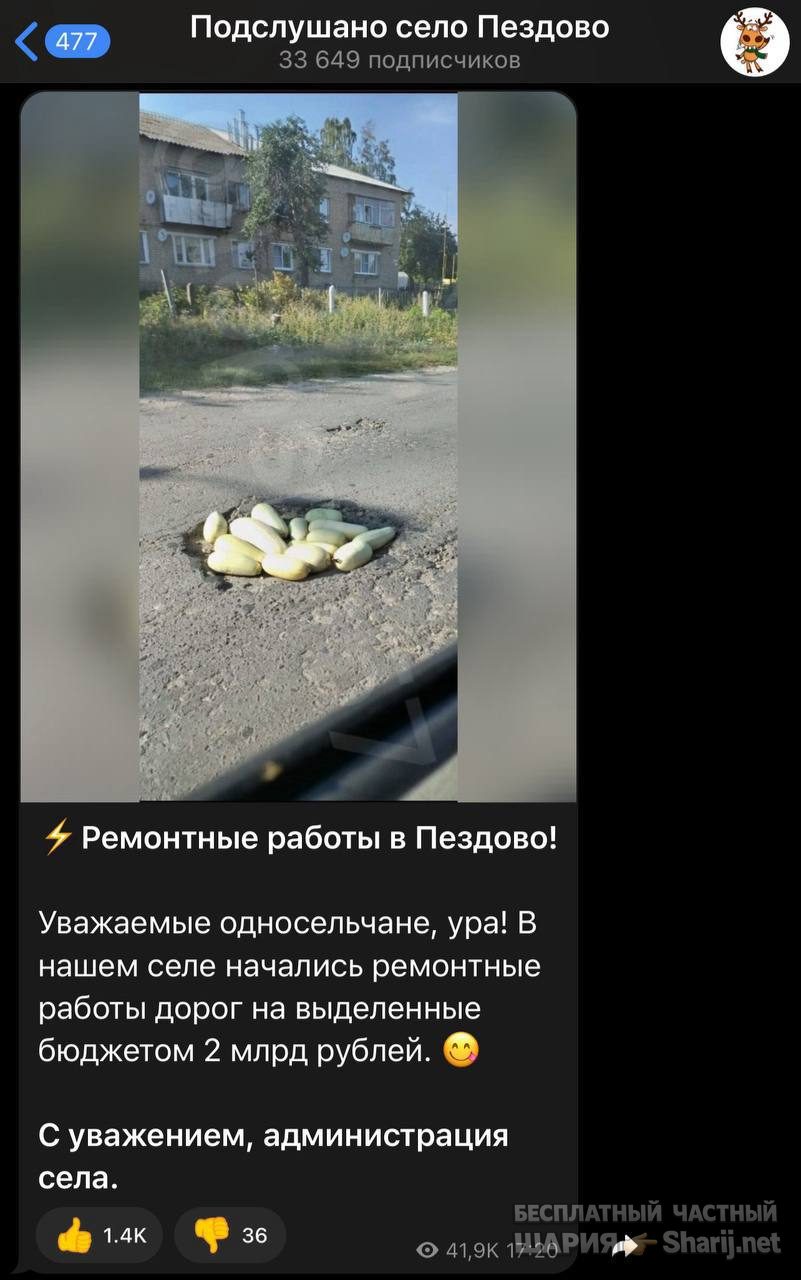 Анатолий Шарий Telegram канал — фото из публикации