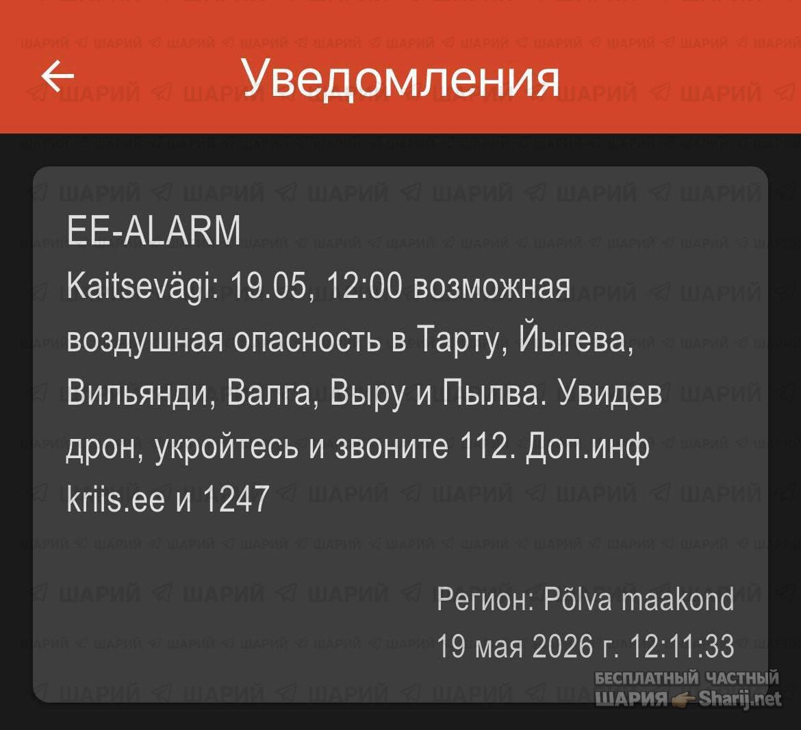 Анатолий Шарий Telegram канал — фото из публикации