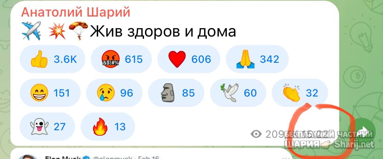 Анатолий Шарий Telegram канал — фото из публикации