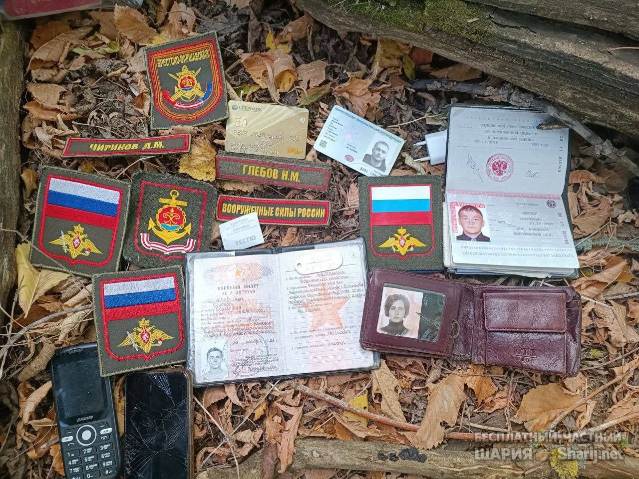 Анатолий Шарий Telegram канал — фото из публикации