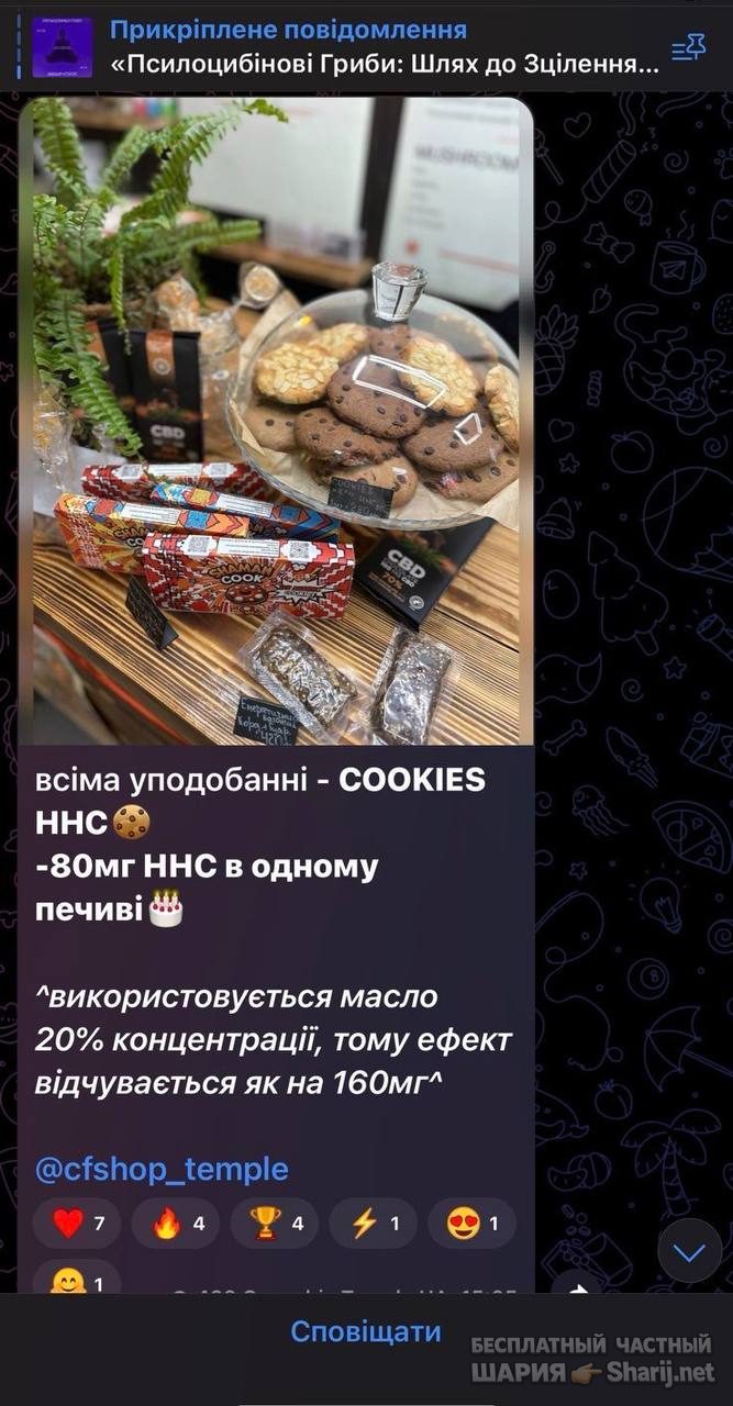 Анатолий Шарий Telegram канал — фото из публикации