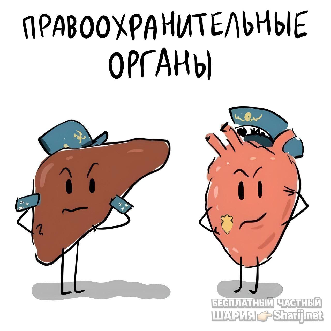 Анатолий Шарий Telegram канал — фото из публикации