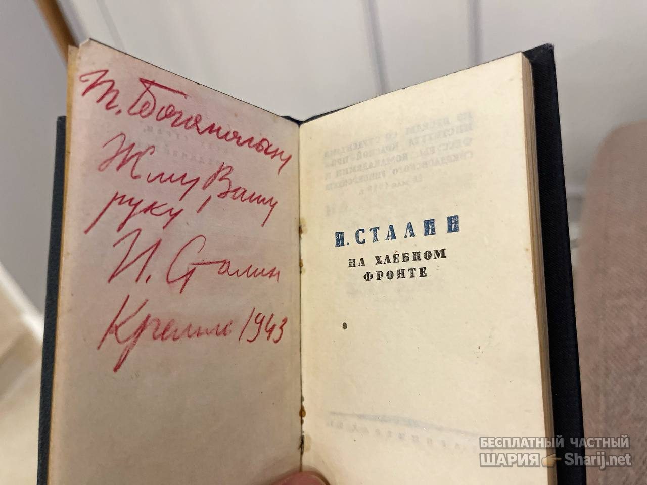 Анатолий Шарий Telegram канал — фото из публикации