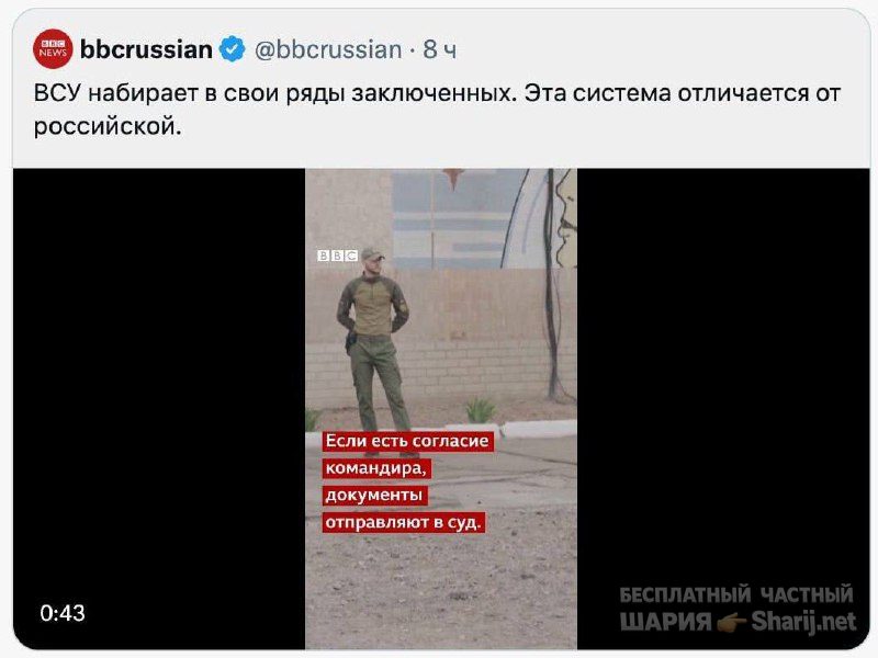 Анатолий Шарий Telegram канал — фото из публикации