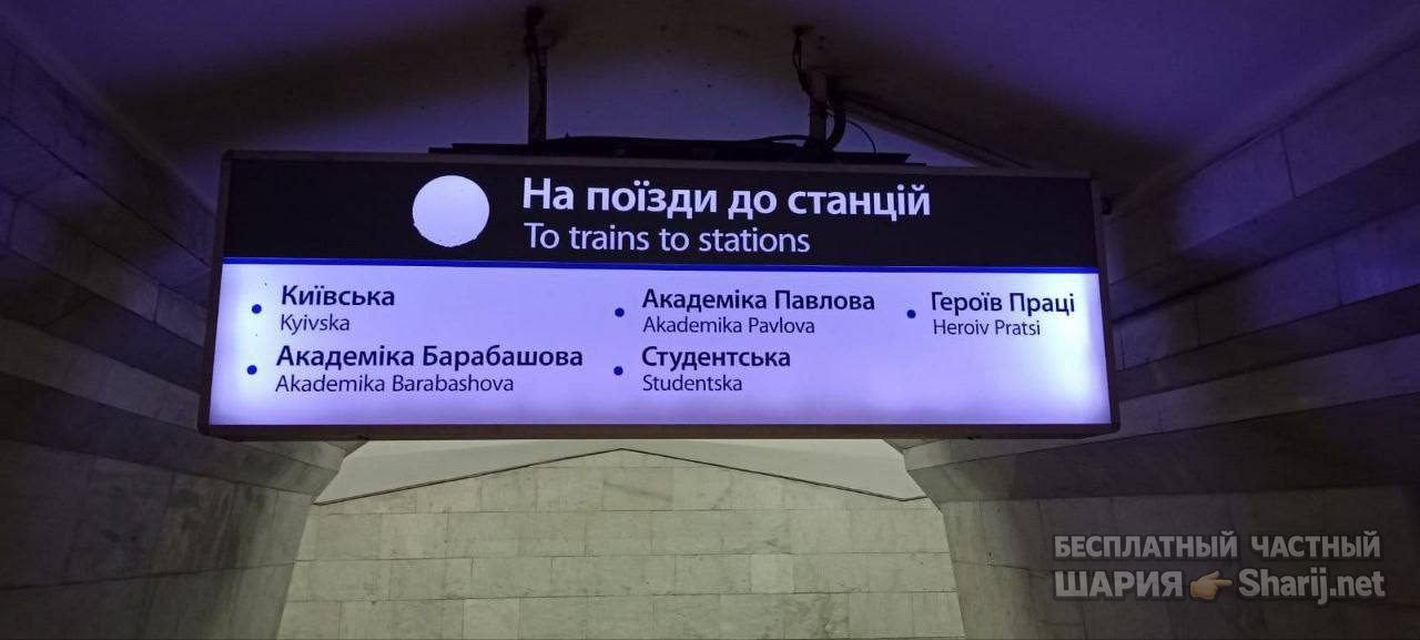 Анатолий Шарий Telegram канал — фото из публикации