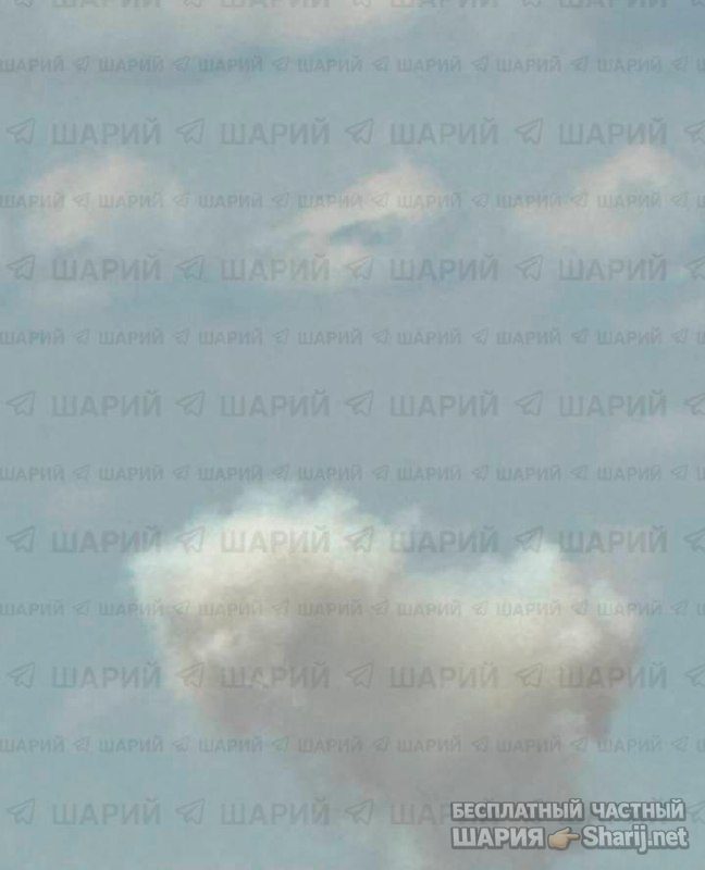 Анатолий Шарий Telegram канал — фото из публикации