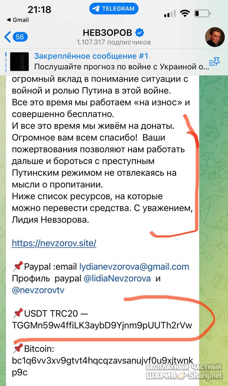 Анатолий Шарий Telegram канал — фото из публикации