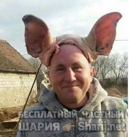 Анатолий Шарий Telegram канал — фото из публикации