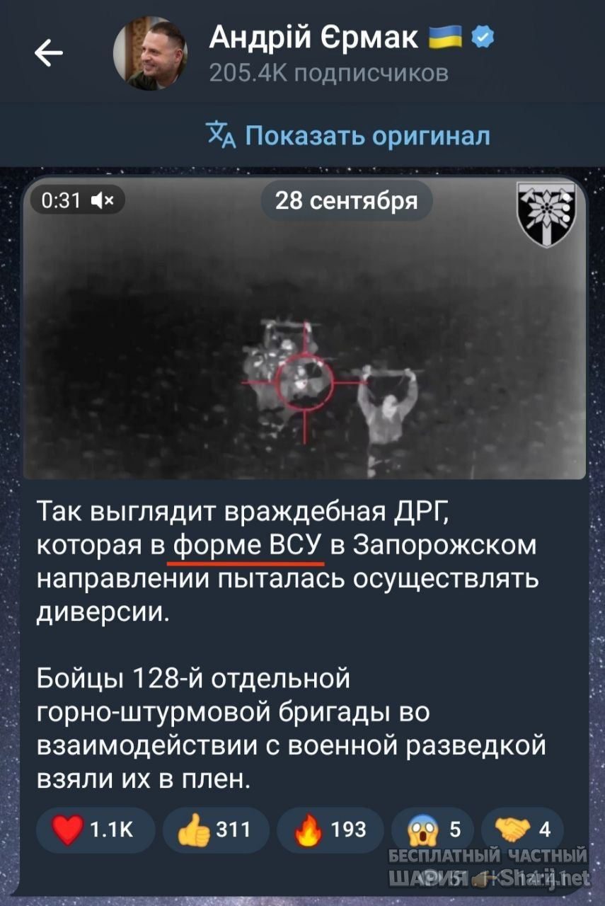 Анатолий Шарий Telegram канал — фото из публикации