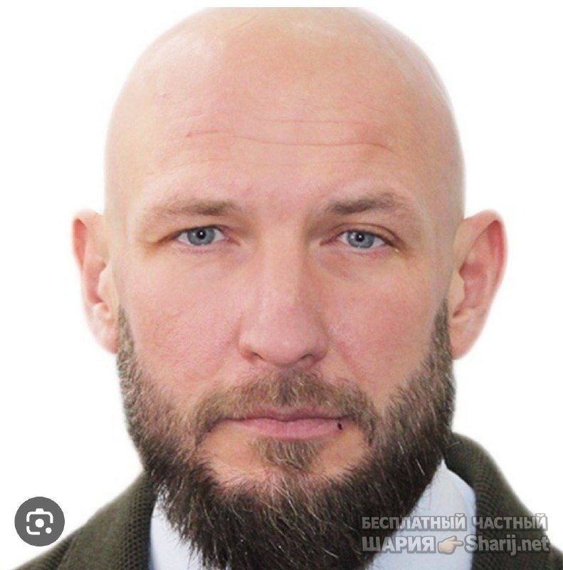 Анатолий Шарий Telegram канал — фото из публикации