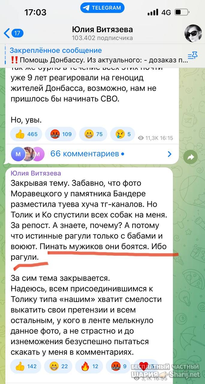 Анатолий Шарий Telegram канал — фото из публикации