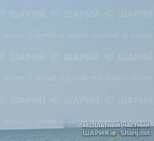 Анатолий Шарий Telegram канал — фото из публикации