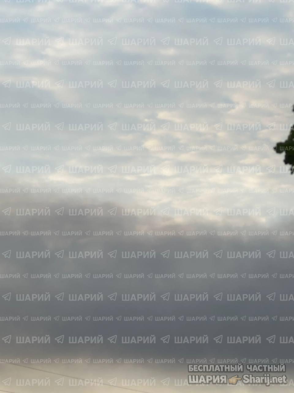 Анатолий Шарий Telegram канал — фото из публикации