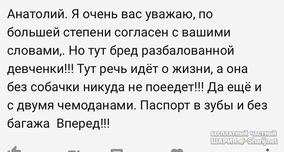 Анатолий Шарий Telegram канал — фото из публикации