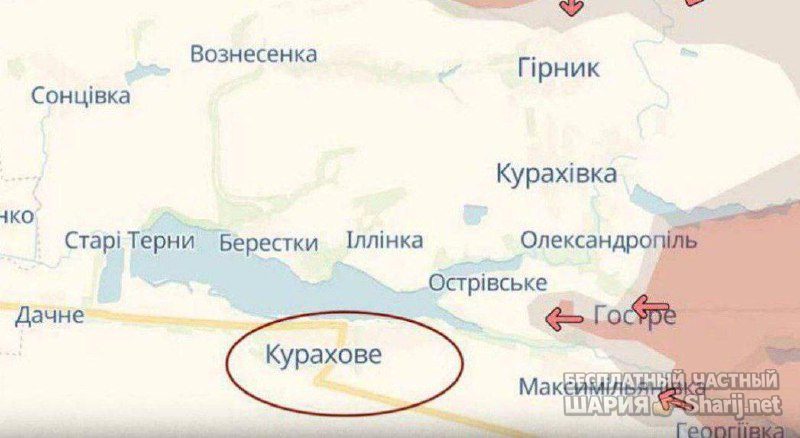 Анатолий Шарий Telegram канал — фото из публикации