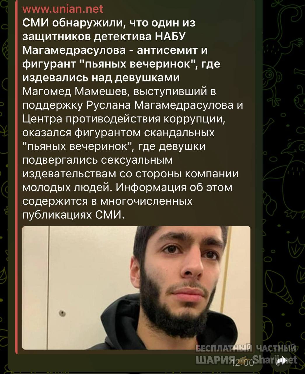 Анатолий Шарий Telegram канал — фото из публикации