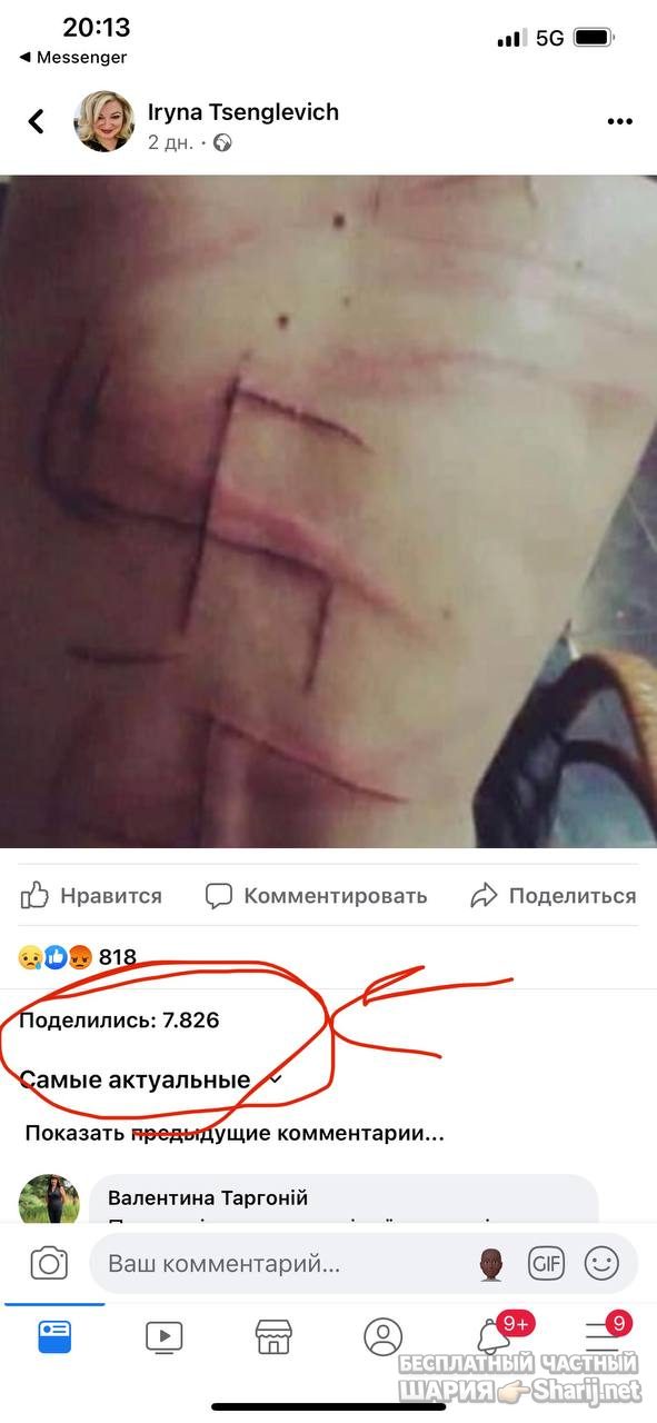 Анатолий Шарий Telegram канал — фото из публикации