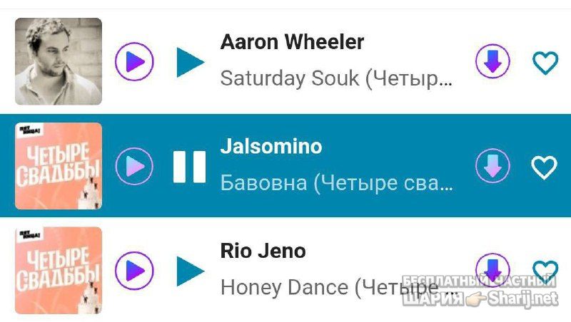 Анатолий Шарий Telegram канал — фото из публикации