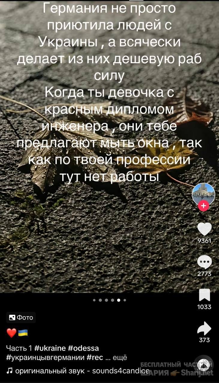 Анатолий Шарий Telegram канал — фото из публикации