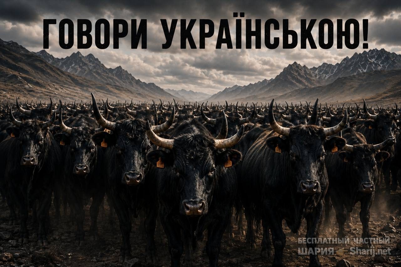 Анатолий Шарий Telegram канал — фото из публикации