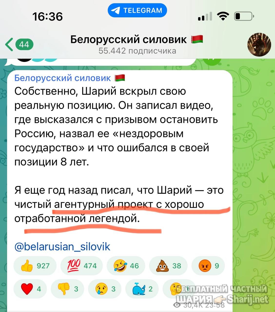 Анатолий Шарий Telegram канал — фото из публикации