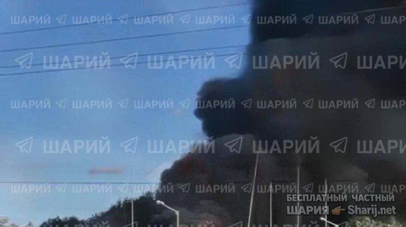Анатолий Шарий Telegram канал — фото из публикации