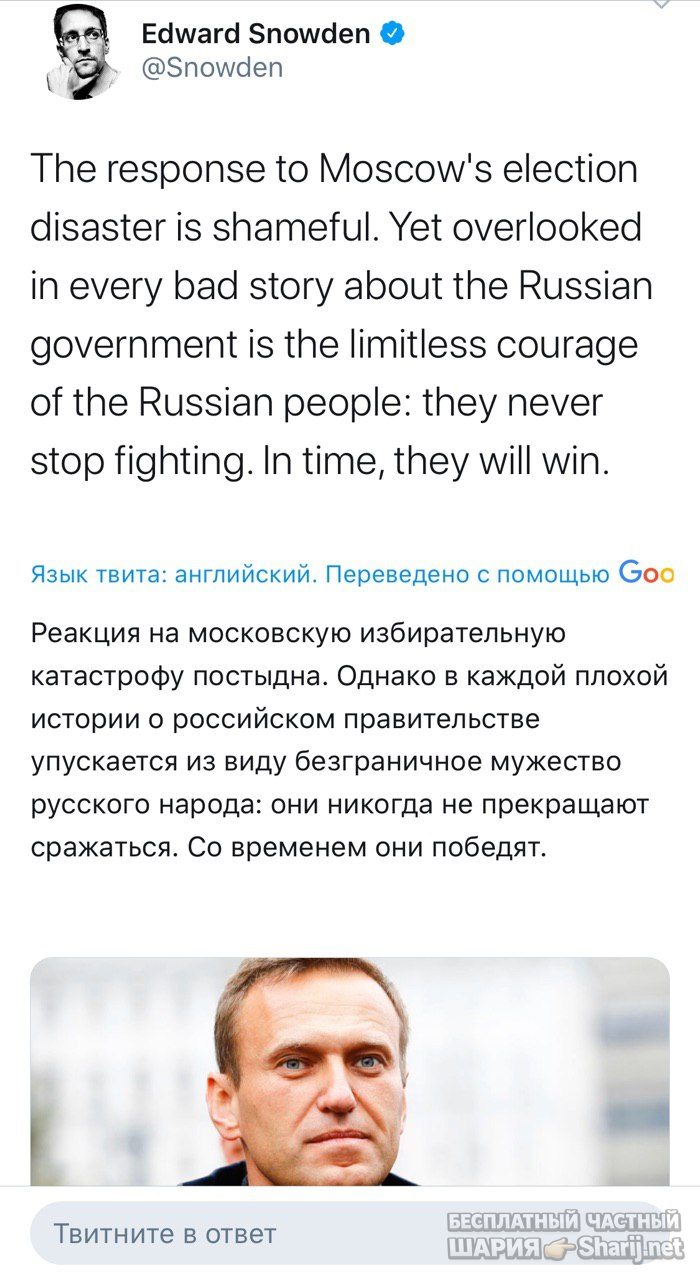 Анатолий Шарий Telegram канал — фото из публикации