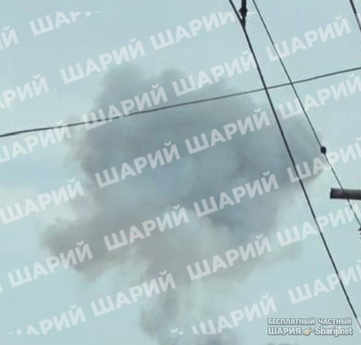 Анатолий Шарий Telegram канал — фото из публикации